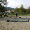 Babie Lato 2016
